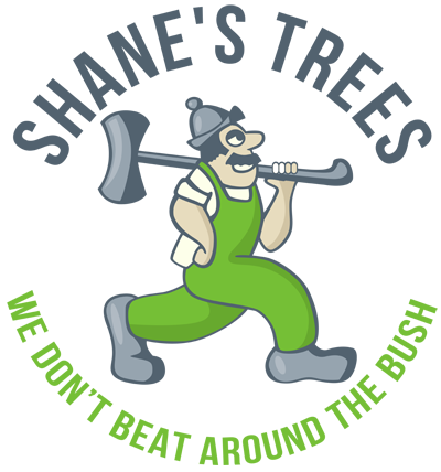Tree Removal St George Sydney