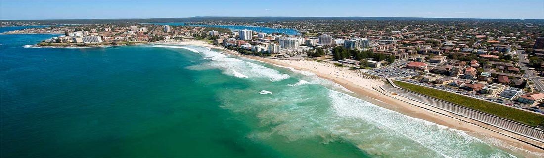 tree-removal-sutherland-shire