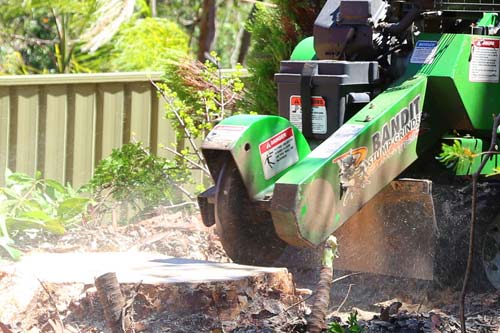 stump removal sydney