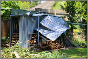 tree-crushes-garden-shed-at-heathcote-nsw