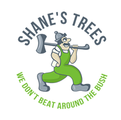 Shanes Trees