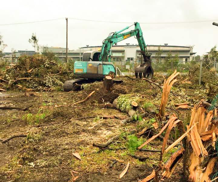 land-clearing