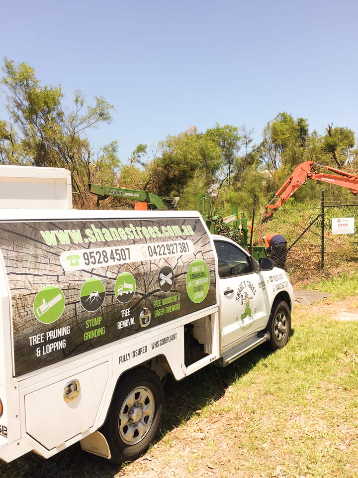 tree-clearing-sydney