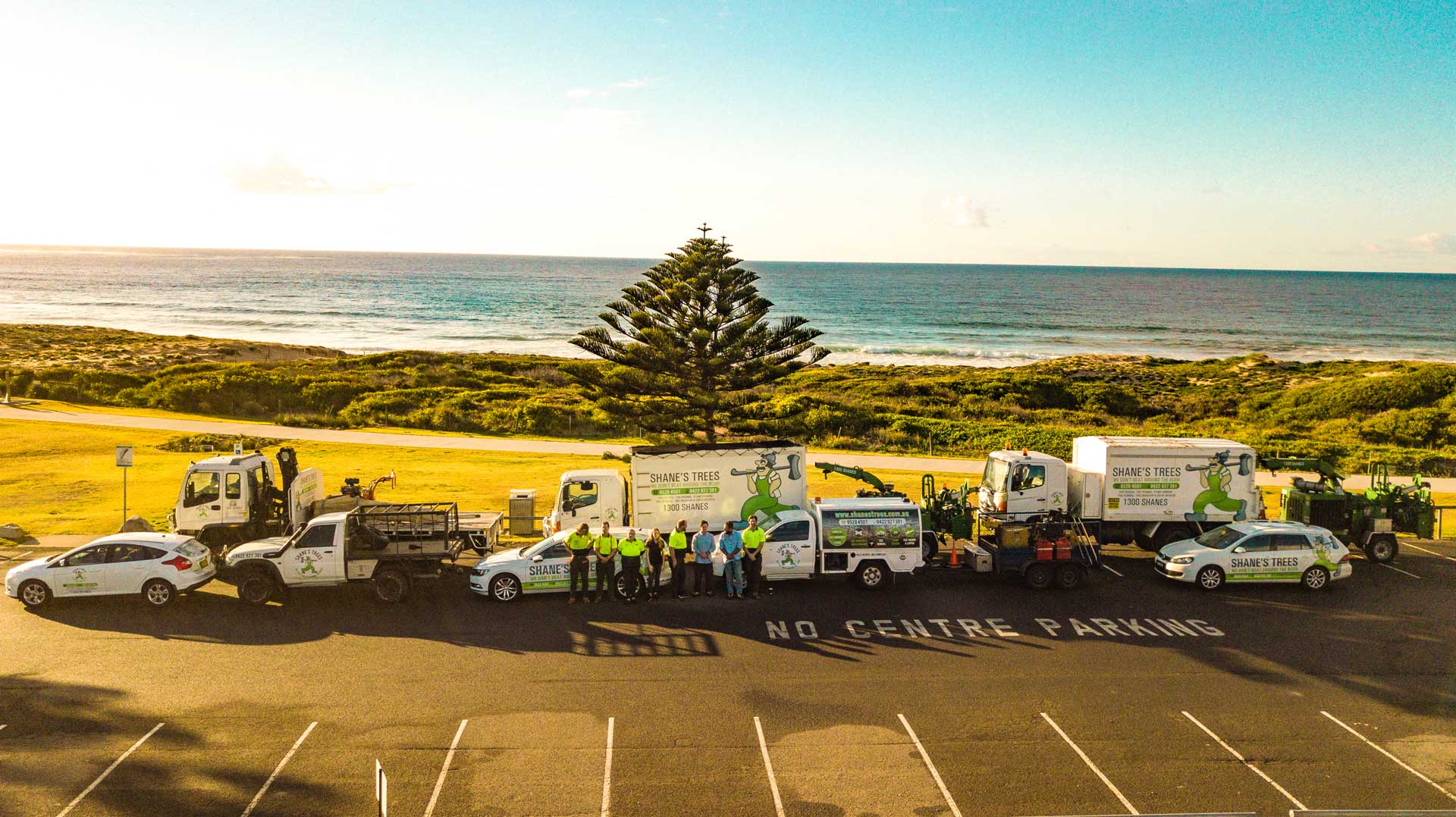 Shanes-trees-sutherland-shire Shanes-trees-sutherland-shire