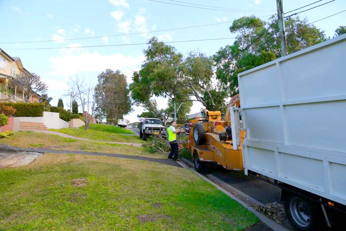 Brush Chipper and Truck