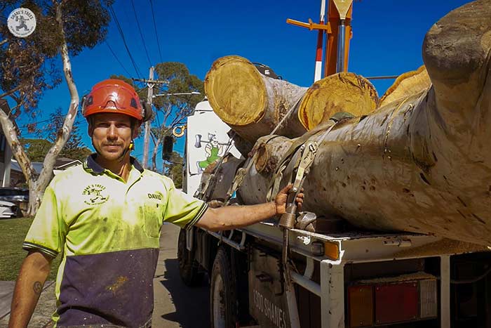 Removing-tree-trunks-using-truck-and-crane Tree removal using a crane and a truck