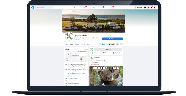shanes-trees-facebook-page