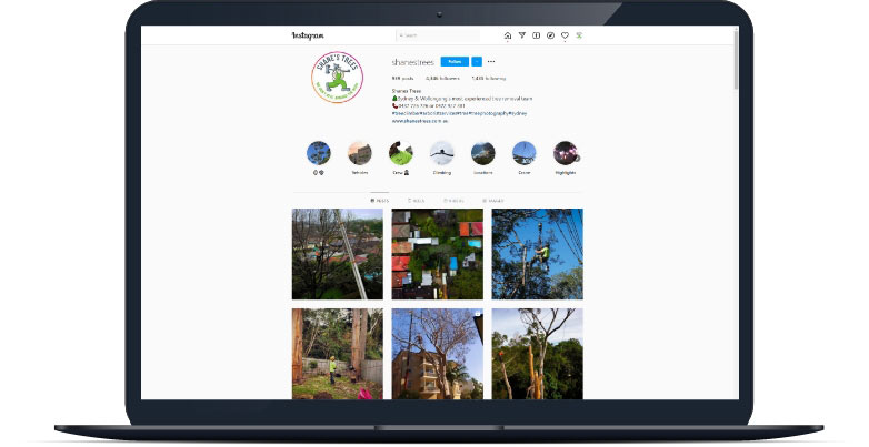 shanes-trees-instagram-page