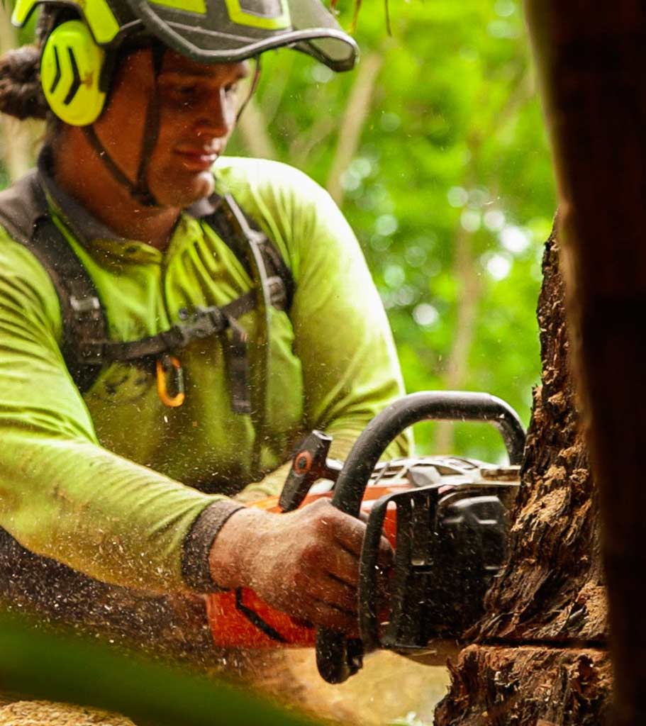 tree lopper ipswich