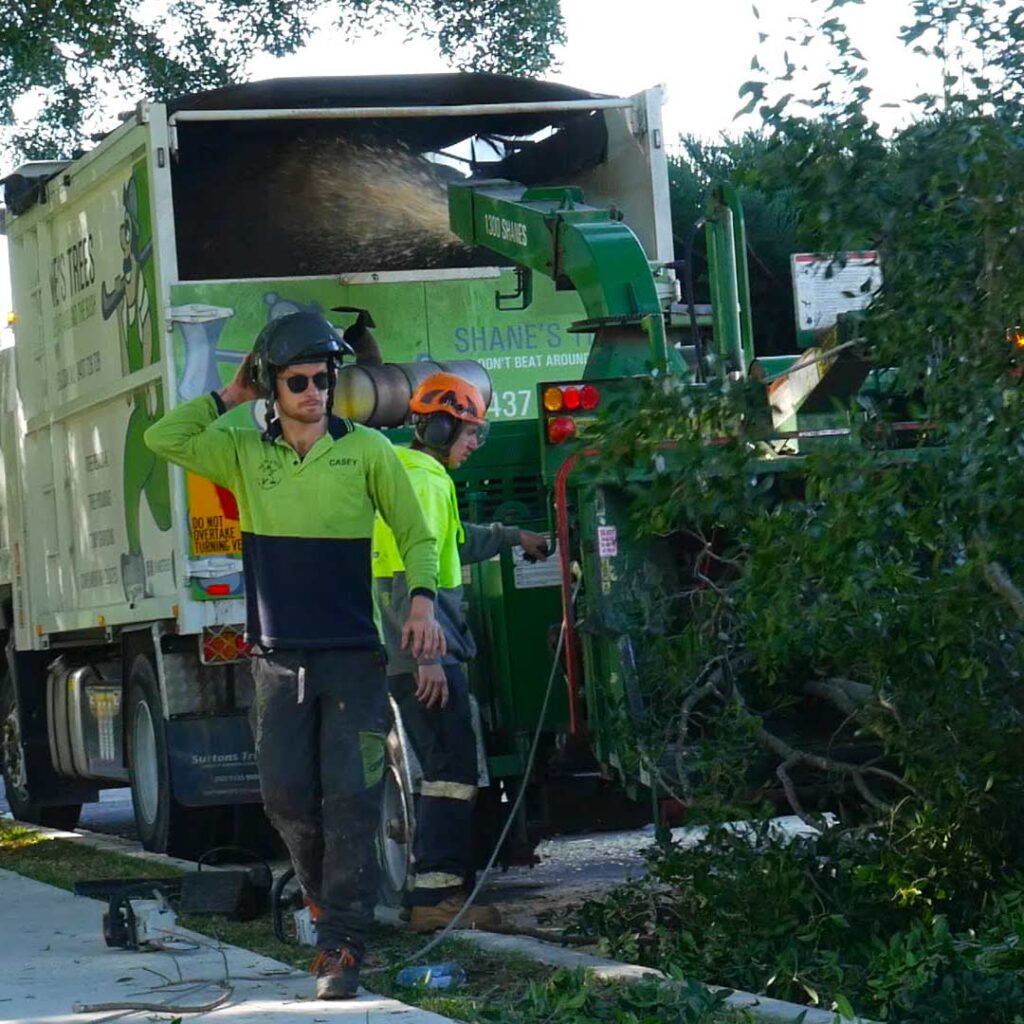 Woodchipping after tree removal