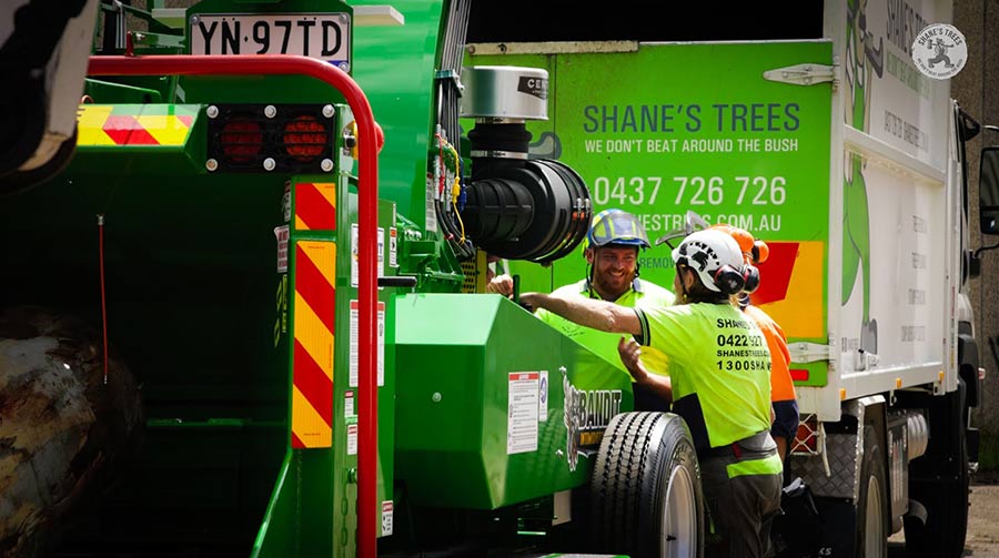 Shanes Tree removal company servicing Menai NSW