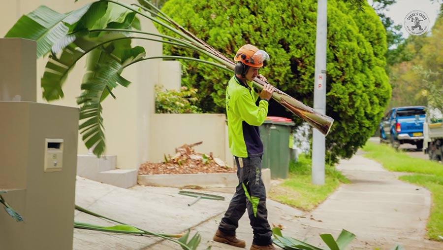 Removing vegetation near Heathcote Sydney