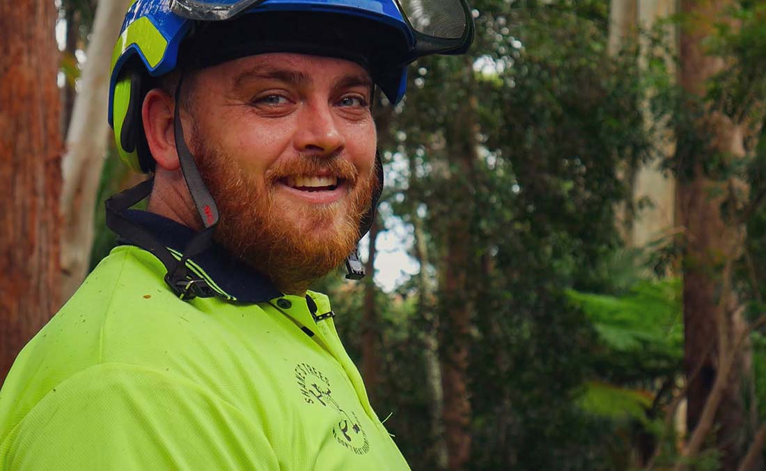 Ben Lawson Arborist Ben Lawson - Shanes Trees Arborist