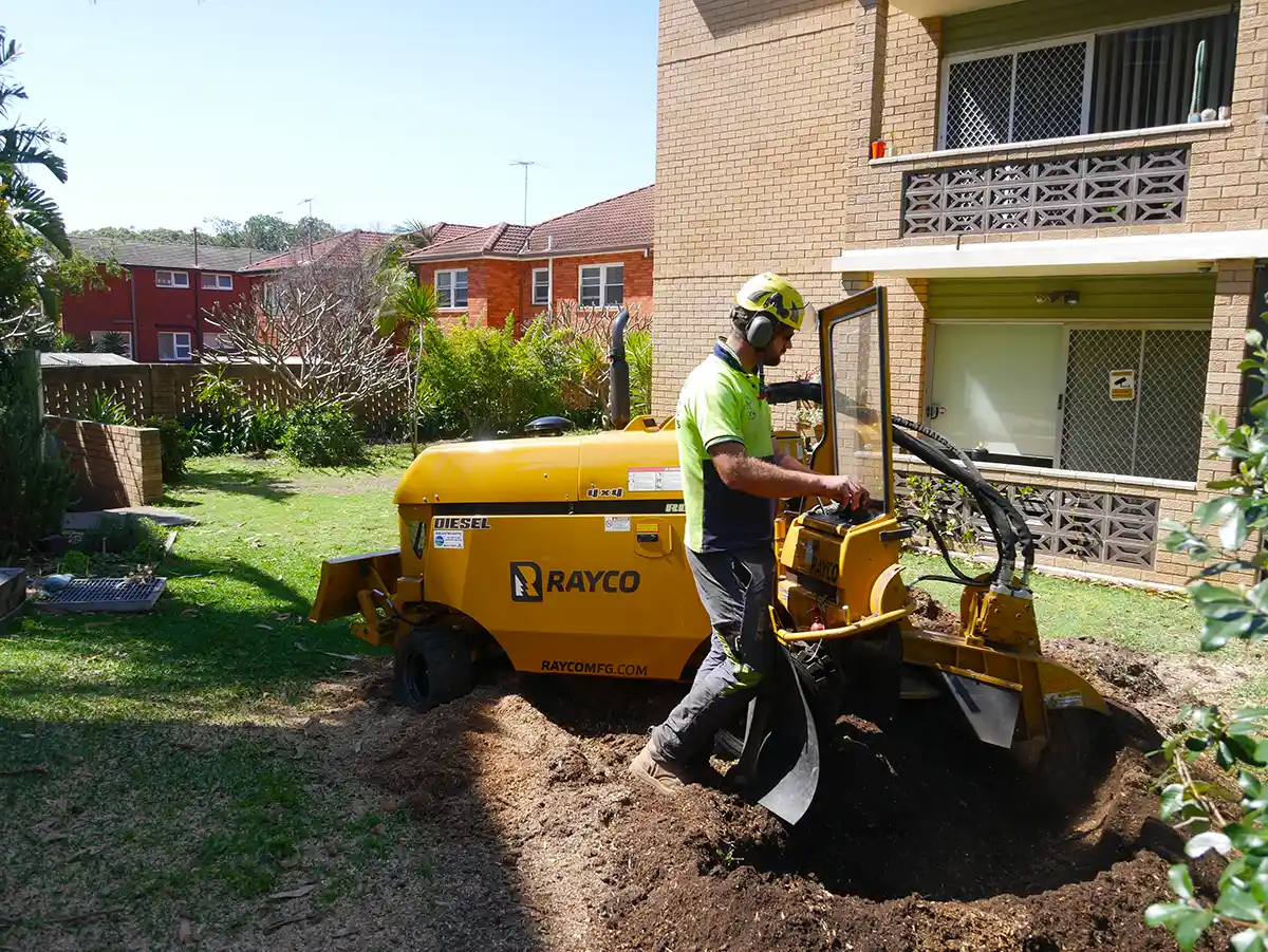 Stump Grinding Service in Sydney NSW Removing a tree stump in cronulla Sydney
