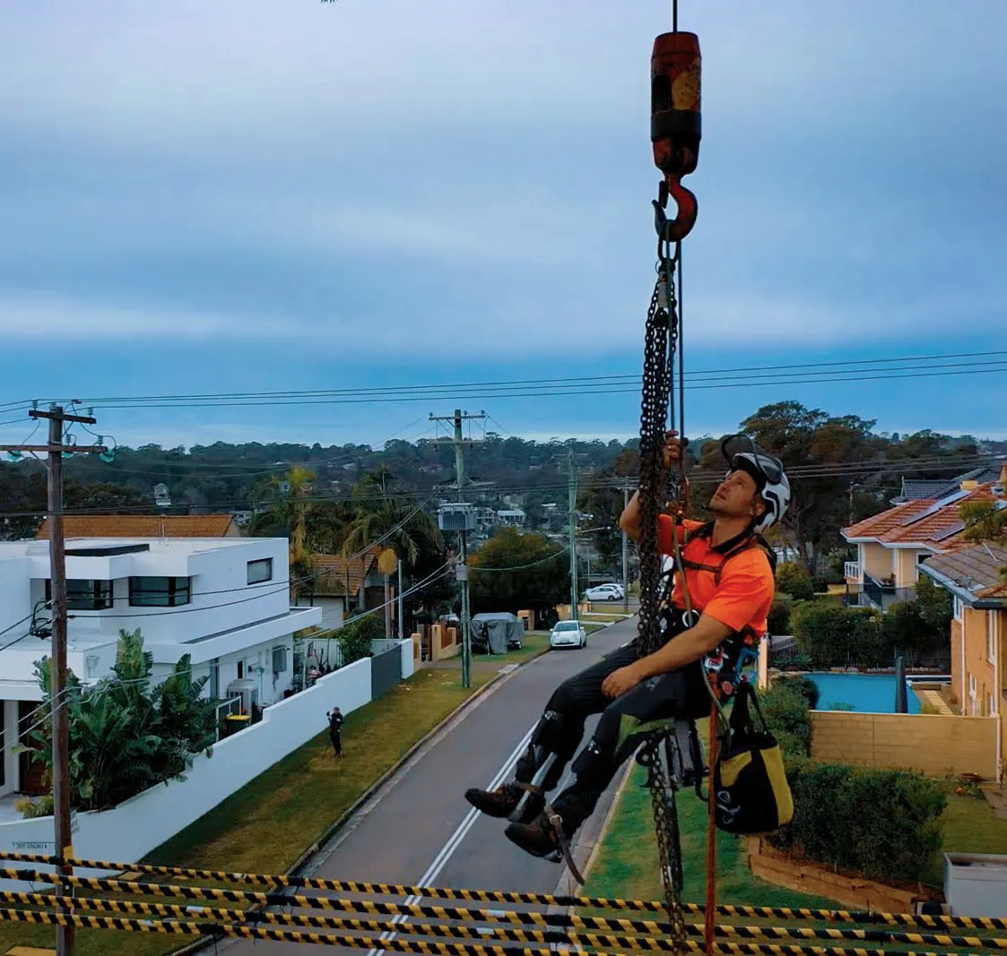 Shanes tree removal in Moreton Bay Council