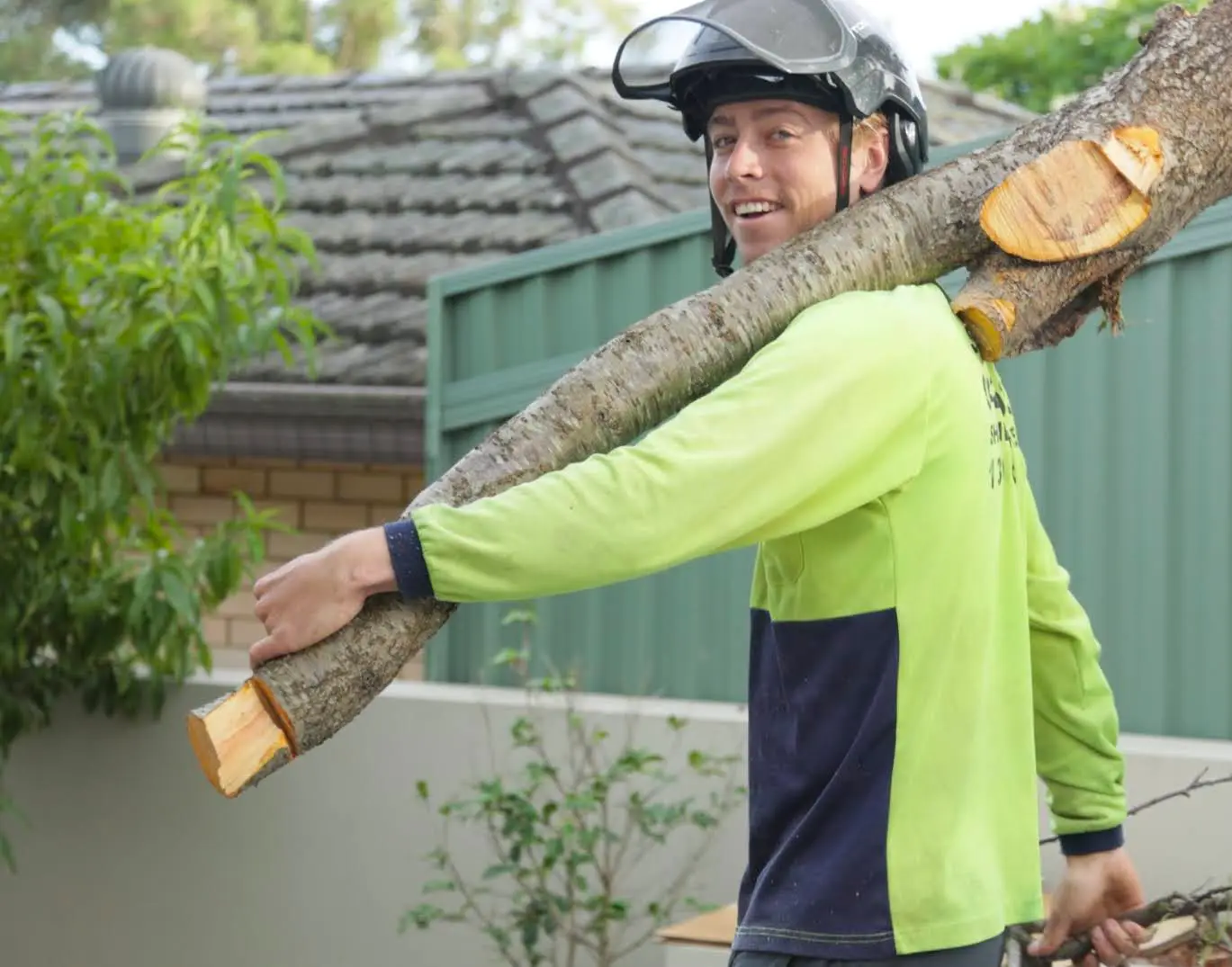 removing trees by hand in Brisbane City