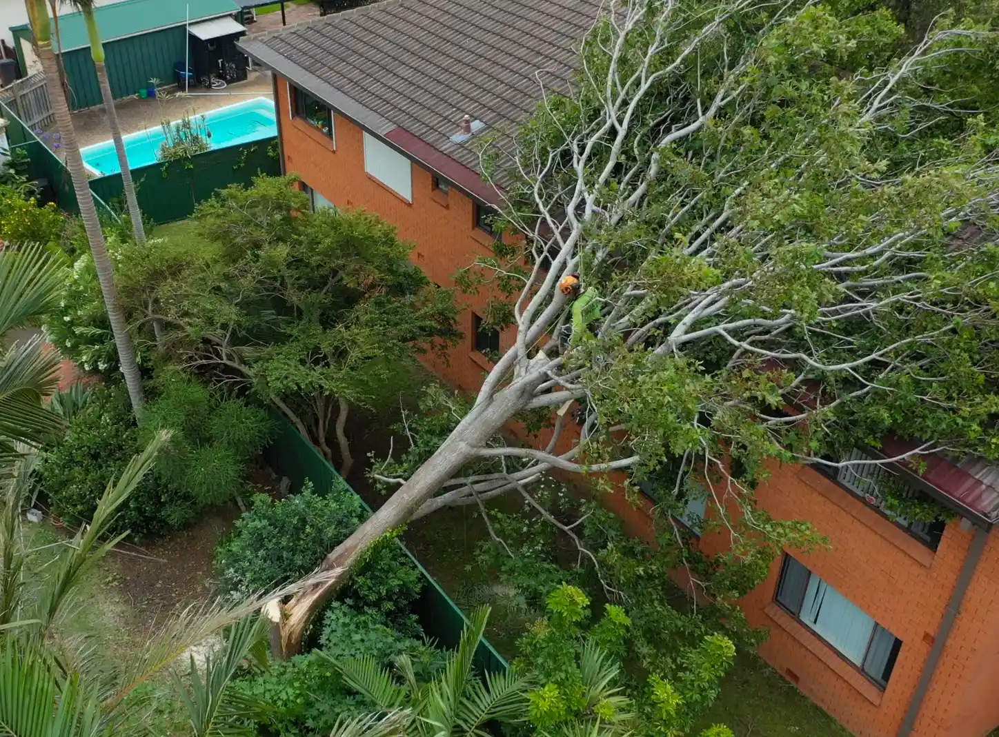 Emergency tree removal service responding to tree fallen on house