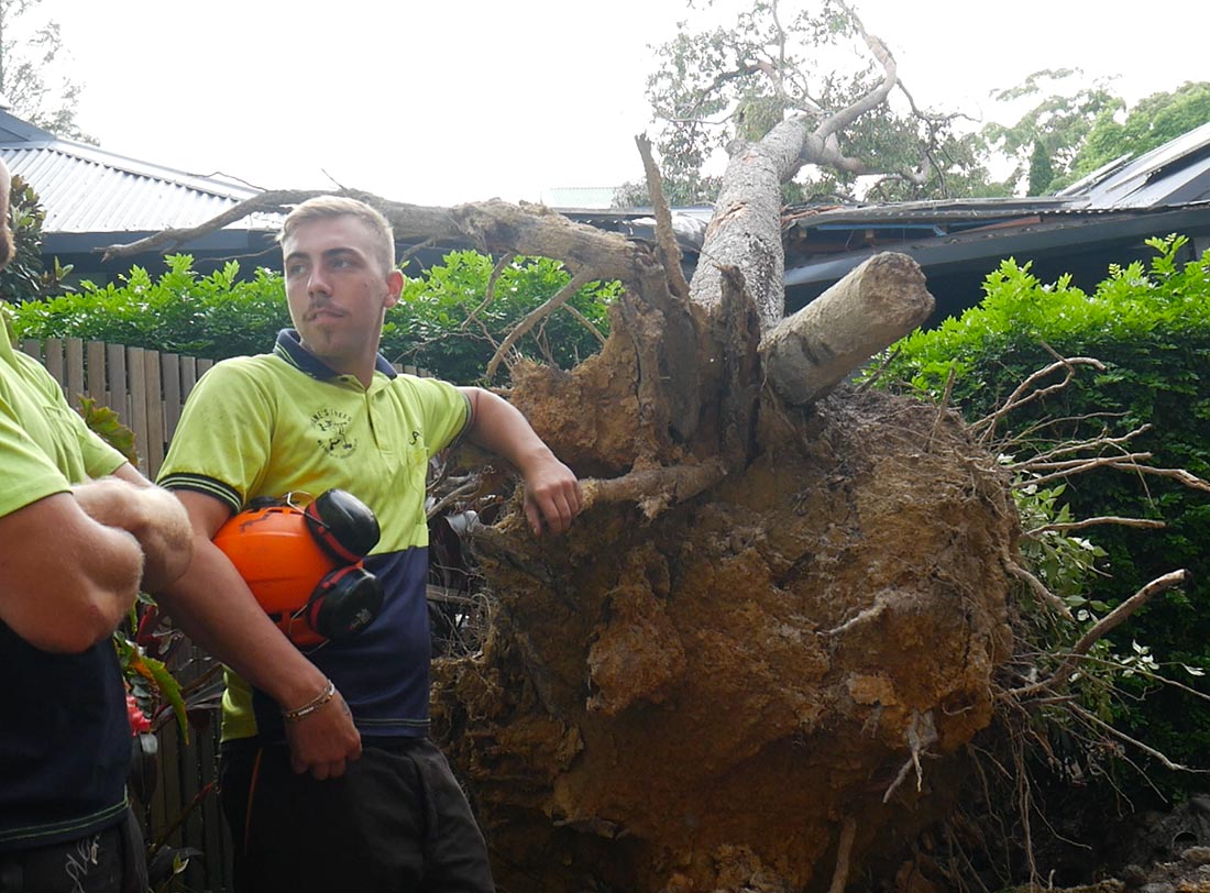 Emergency-tree-removal-service-Brisbane-QLD Tree emergency after tree fell on house after storms in Brisbane QLD