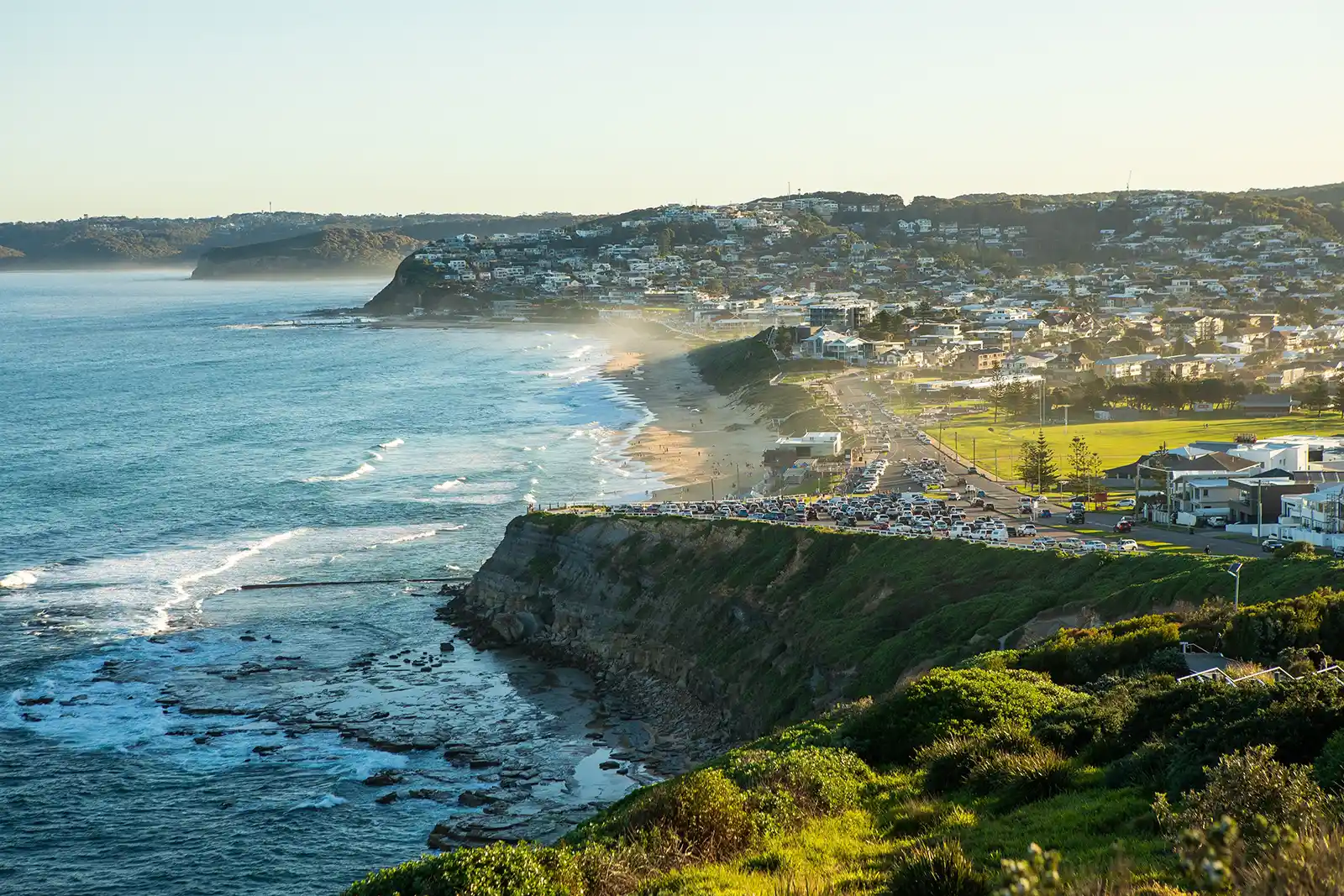 Shane's Trees provide professional tree services in Merewether NSW